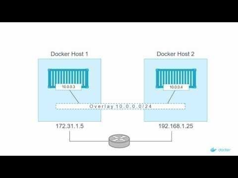 Headless: Website, Structure, Cms And Headless Improvement