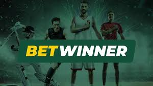 BetWinner Online Casino and Sports A Comprehensive Guide